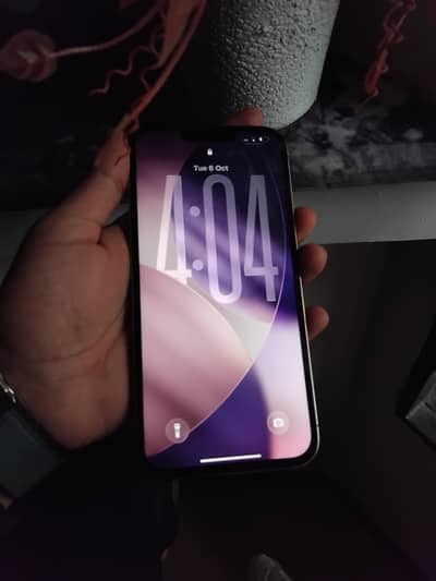 Apple iPhone 13 Pro Max all oky (EXCHANGE POSSIBLE)
