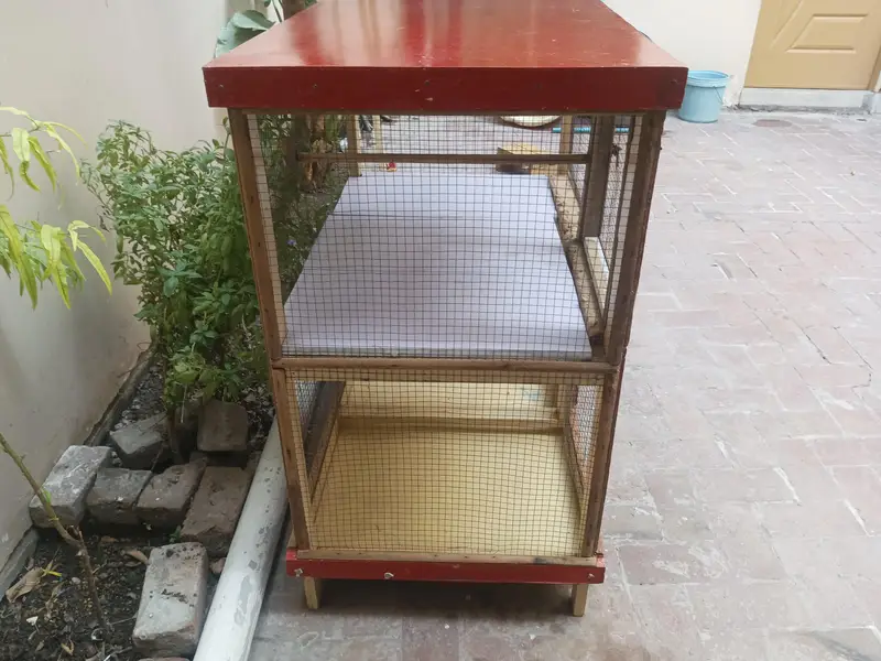 double bird cage — photo 3