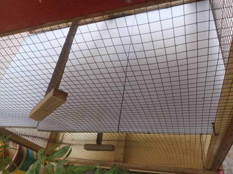 double bird cage 3