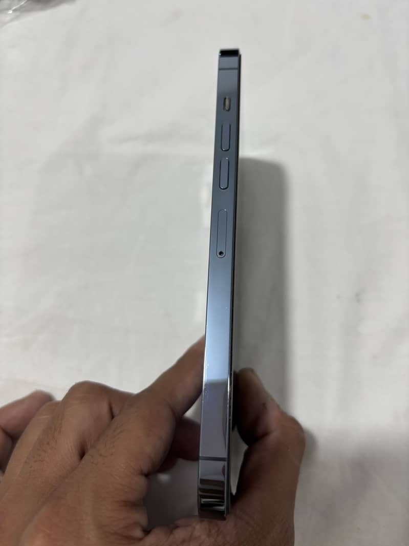 Apple iPhone 13 Pro Max 2