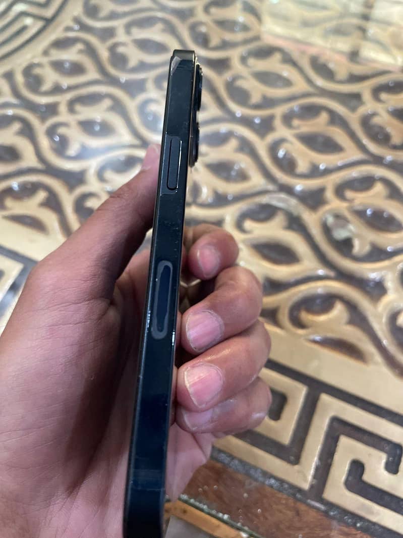 Apple iPhone 13 0