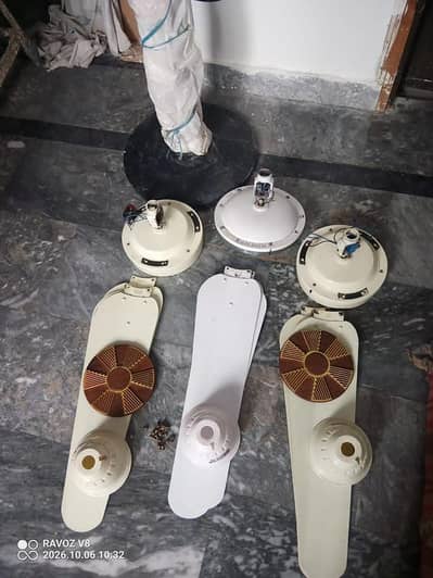 celling fan