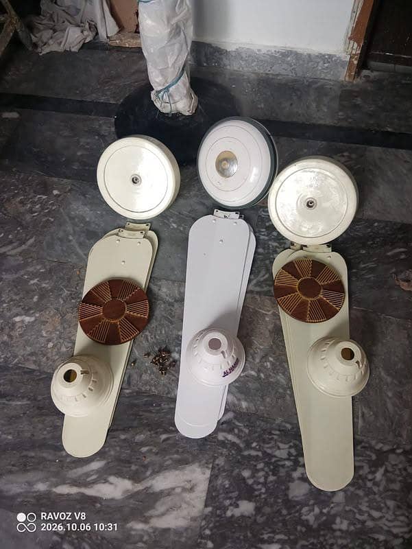 celling fan 1
