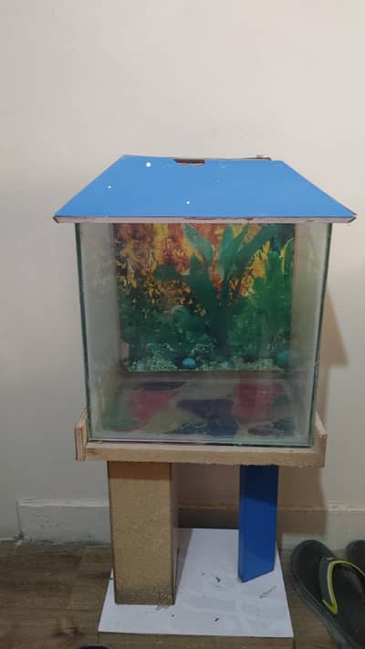 aquarium