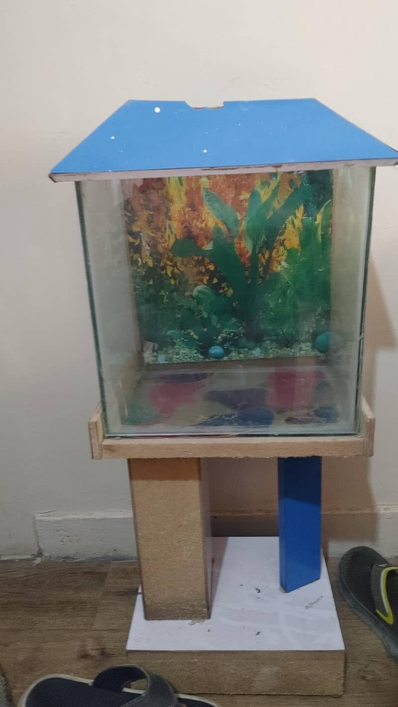 aquarium 1