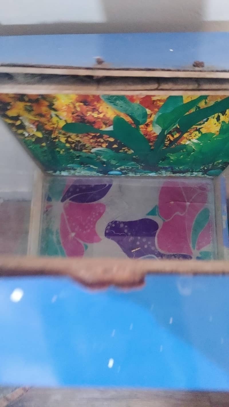 aquarium 2