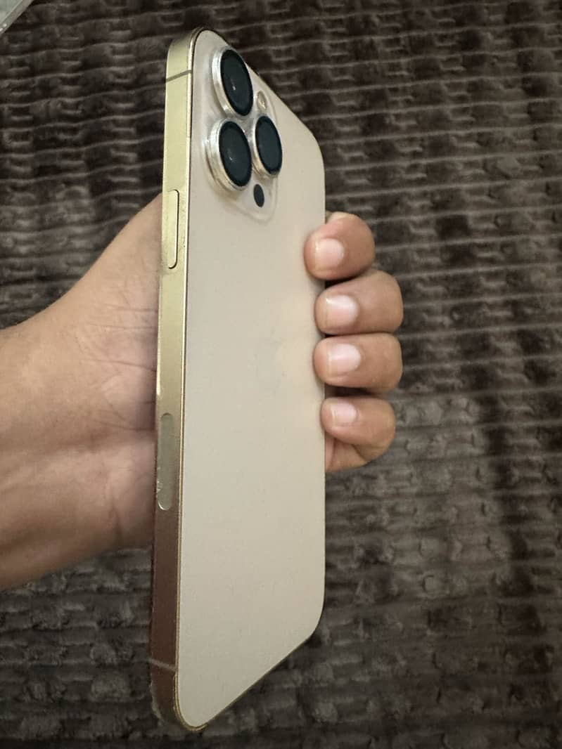 Apple iPhone 13 Pro Max 0