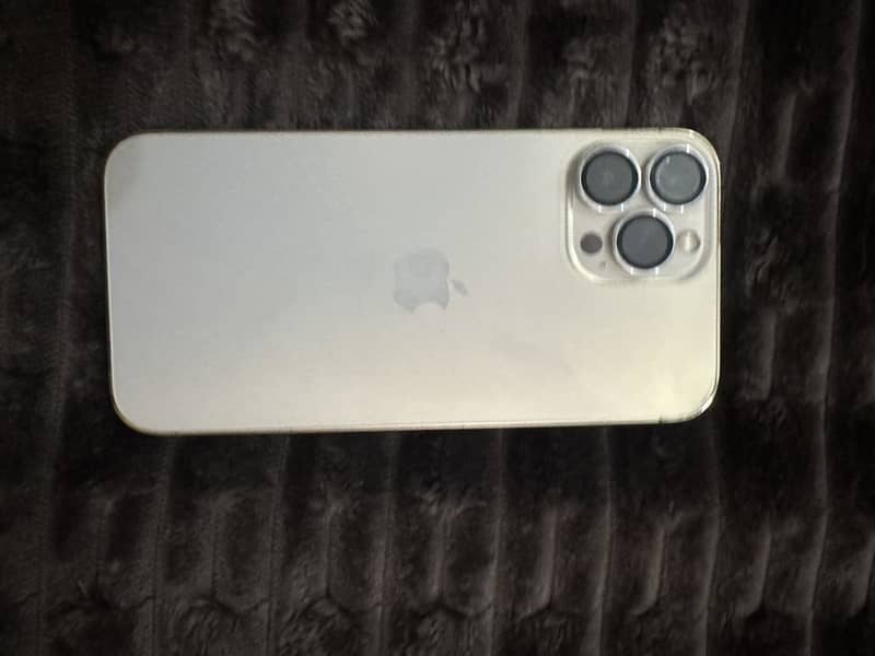 Apple iPhone 13 Pro Max 1