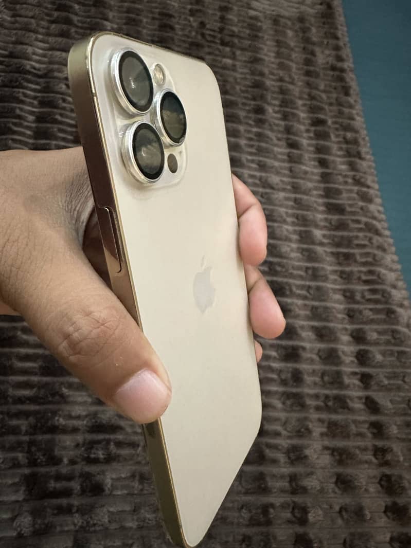 Apple iPhone 13 Pro Max 2