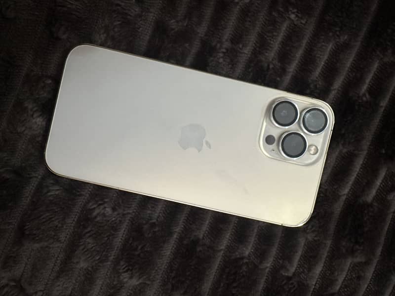 Apple iPhone 13 Pro Max 3