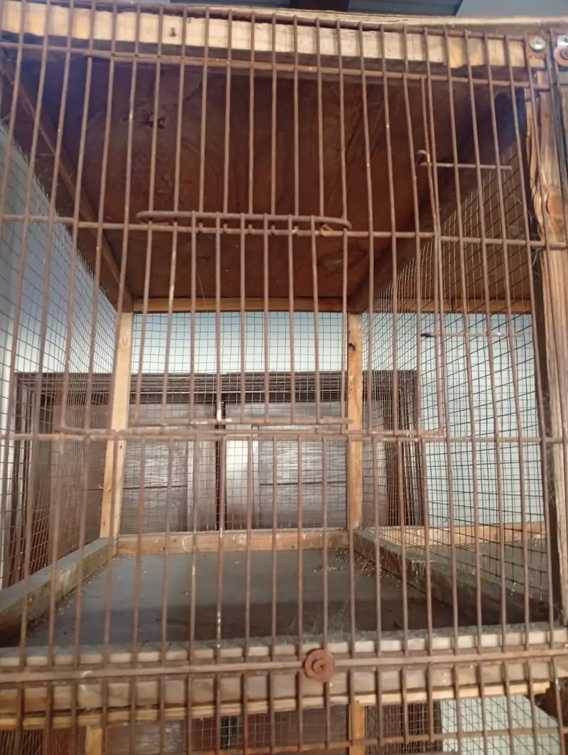 Bird cage — photo 2