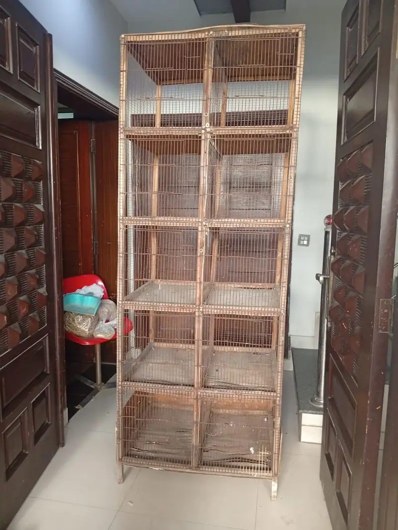 Bird cage — photo 3