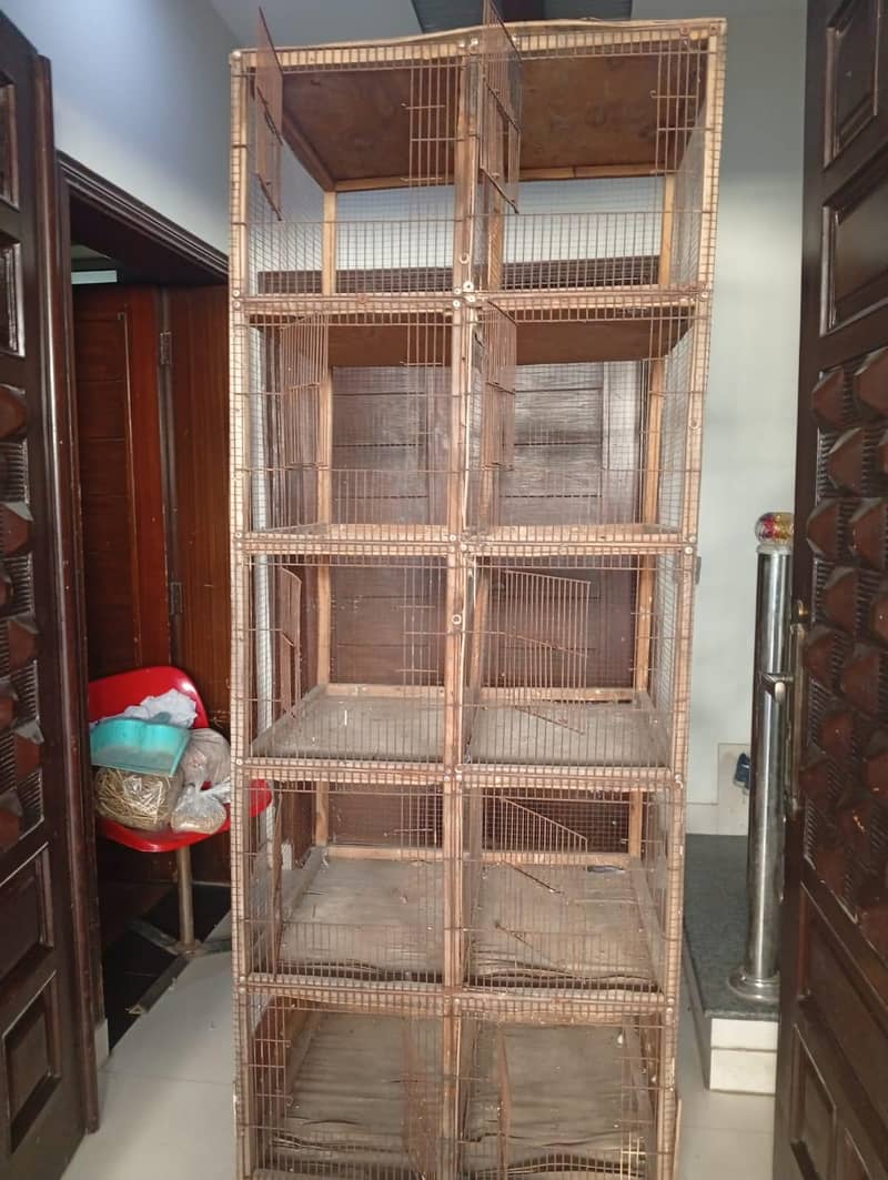 Bird cage 3