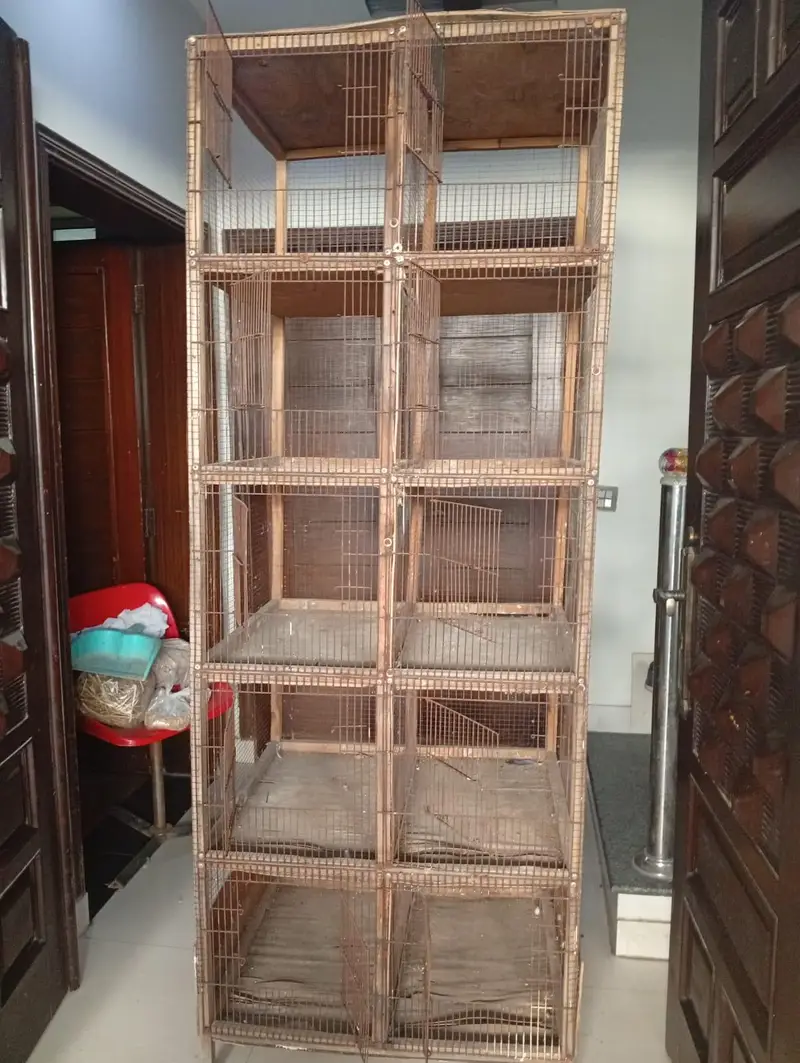 Bird cage — photo 5