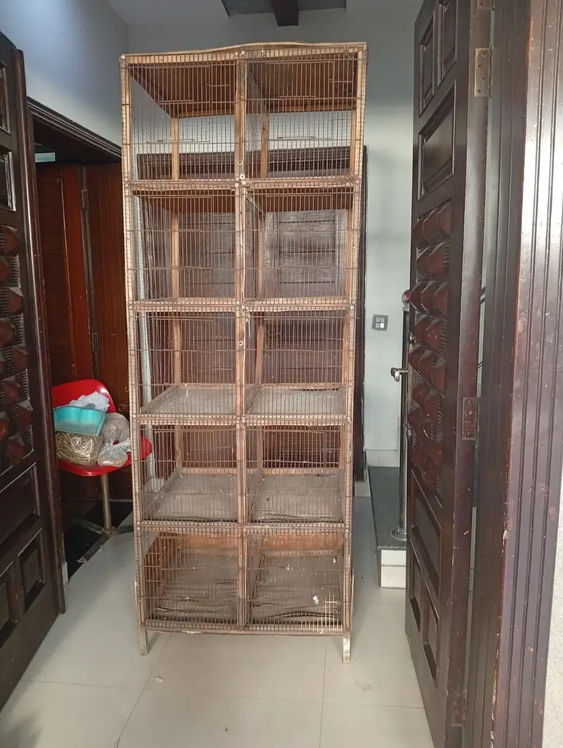Bird cage — photo 6