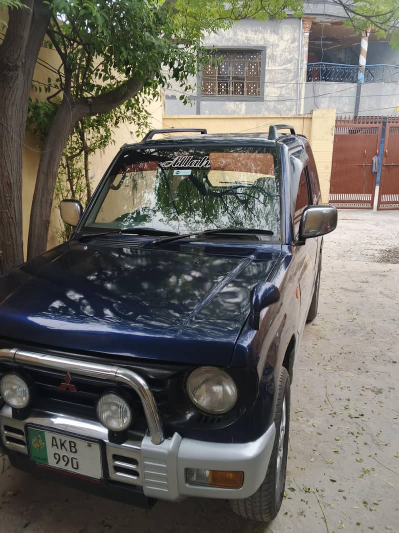 mini pajaro 12
