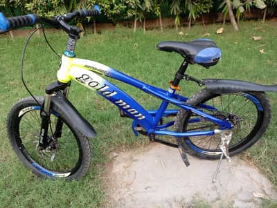 20 inch bicycle for sale