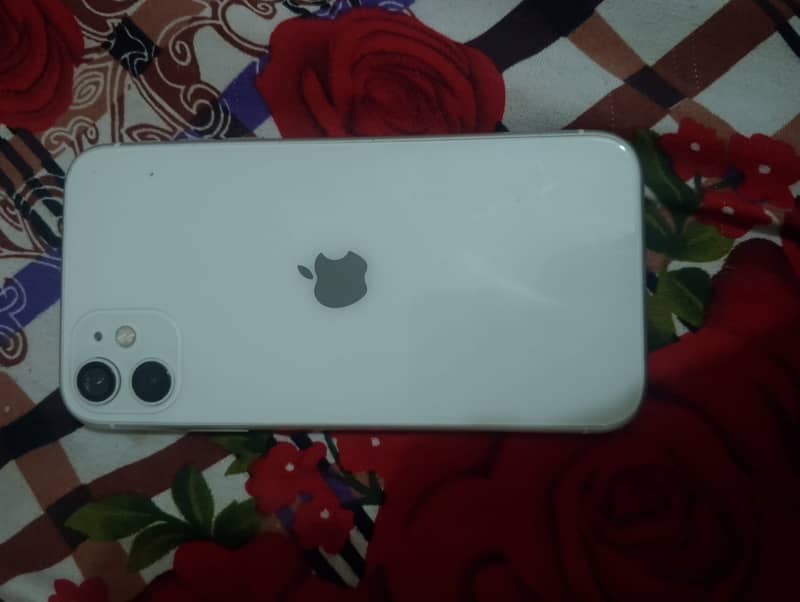 Apple iPhone 11 1