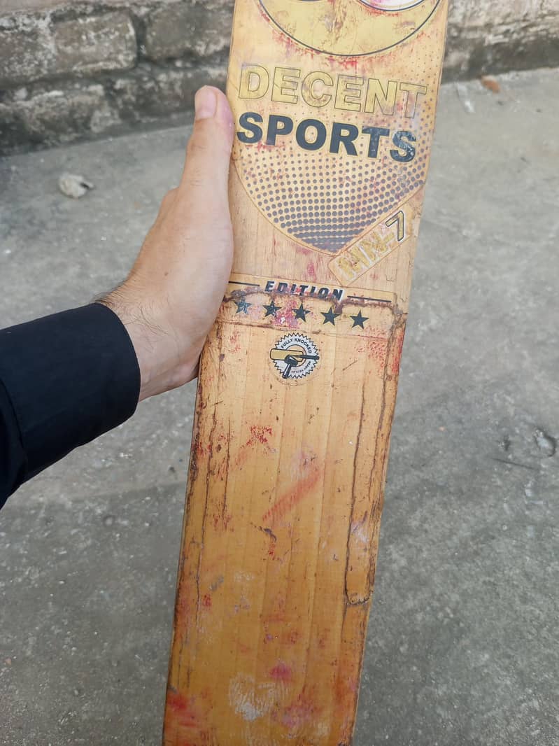 Hard Ball bat 1