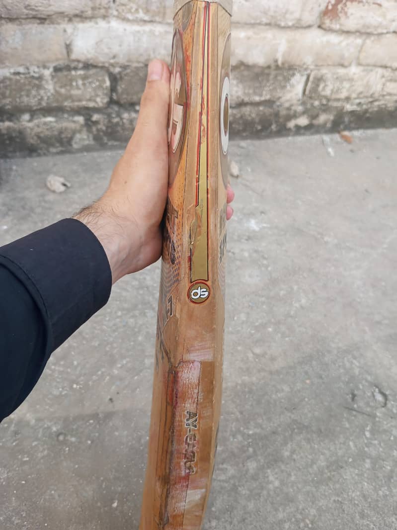 Hard Ball bat 5