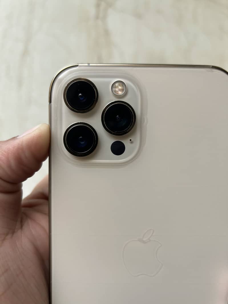 Apple iPhone 12 Pro Max 1