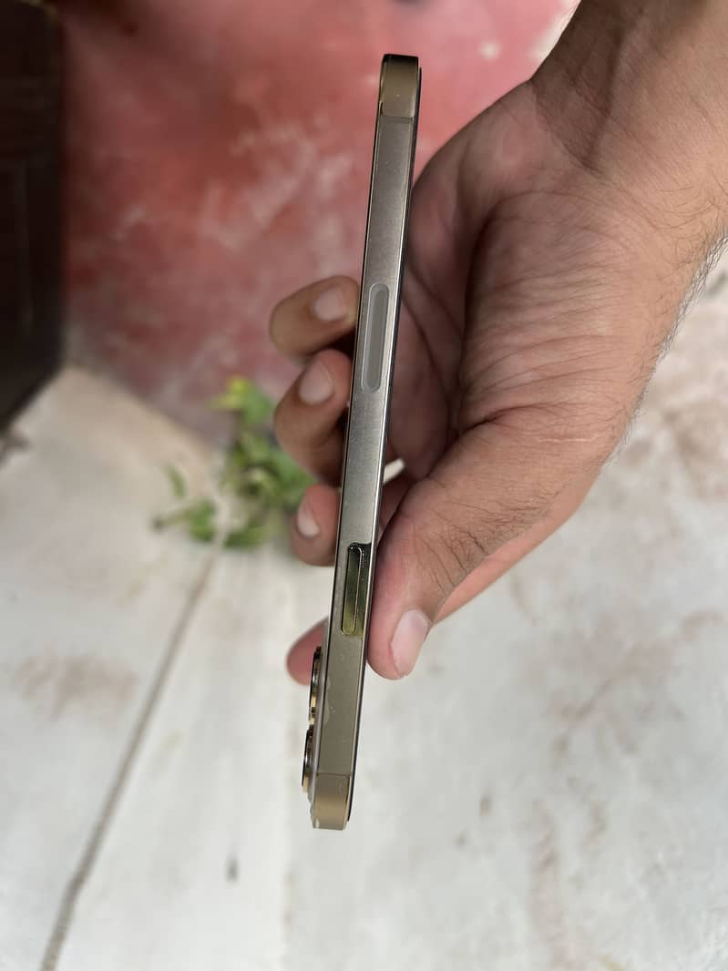 Apple iPhone 12 Pro Max 5