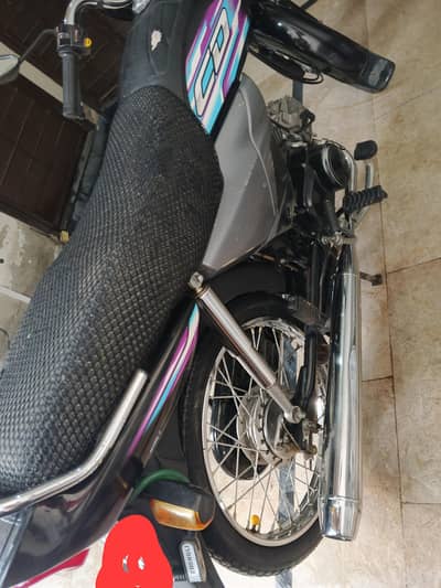 HONDA CD70 DREAM 2024