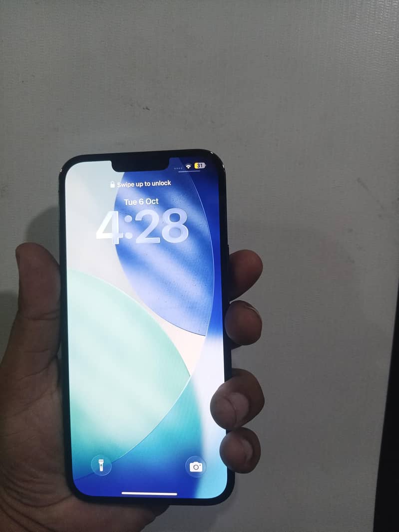 Apple iPhone 13 Pro Max 1