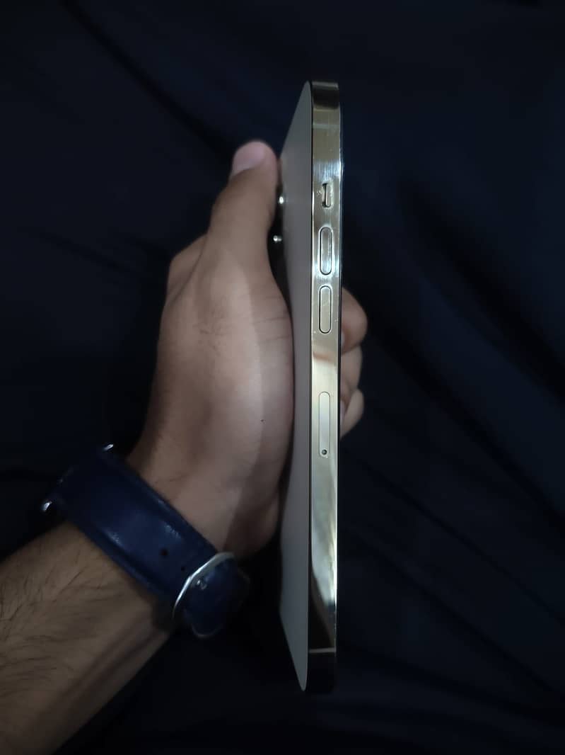 iPhone 12 Pro Max Pta approved 2