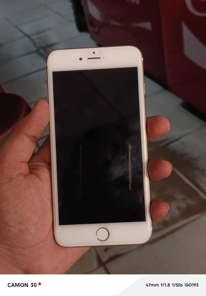 Apple iPhone 6 Plus 1