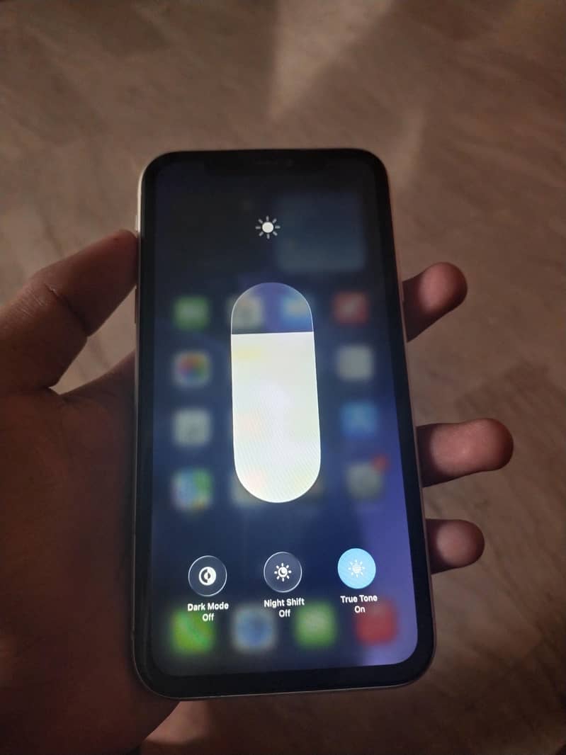 Apple iPhone 11 0