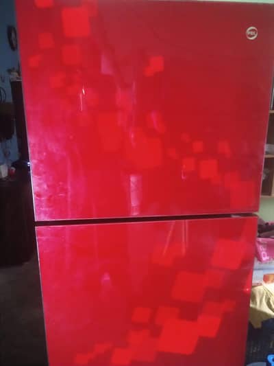 Pel medium size glass door refrigerator