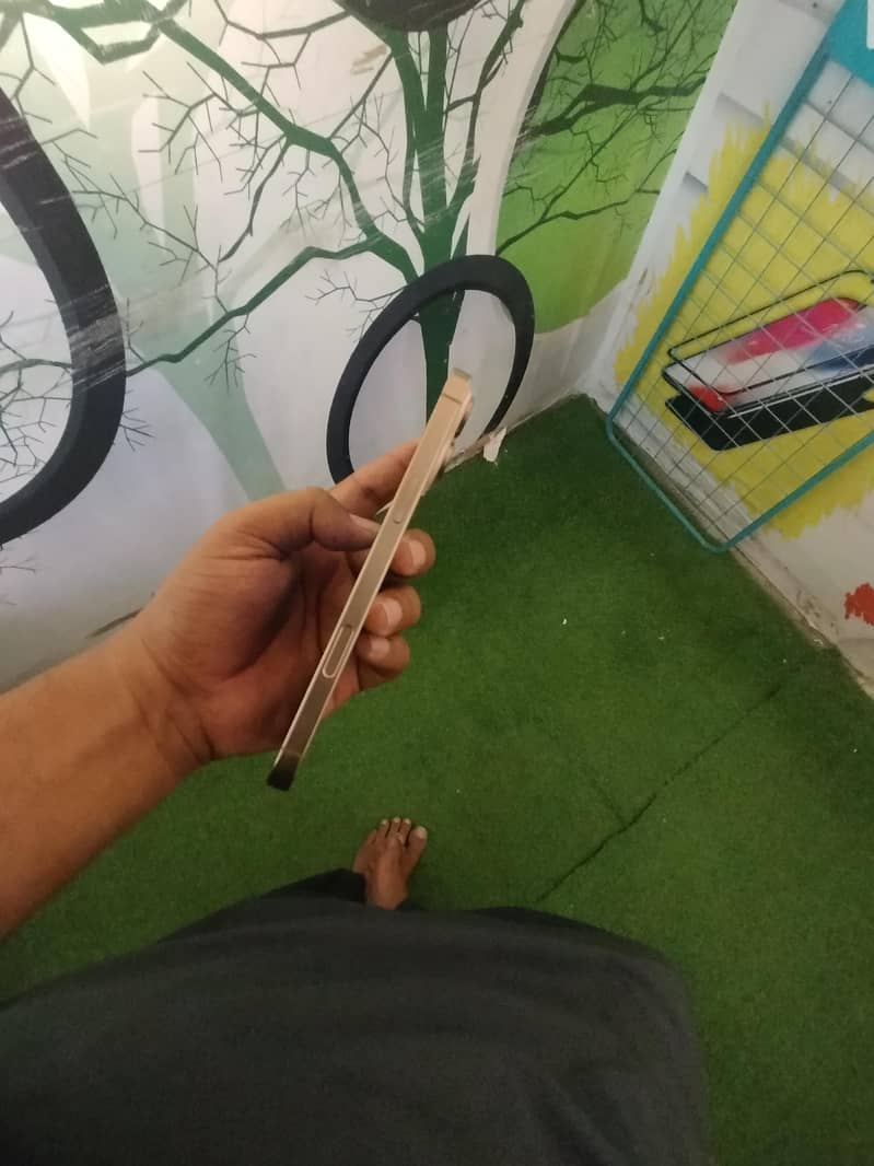 Apple iPhone 16 Pro Max 1