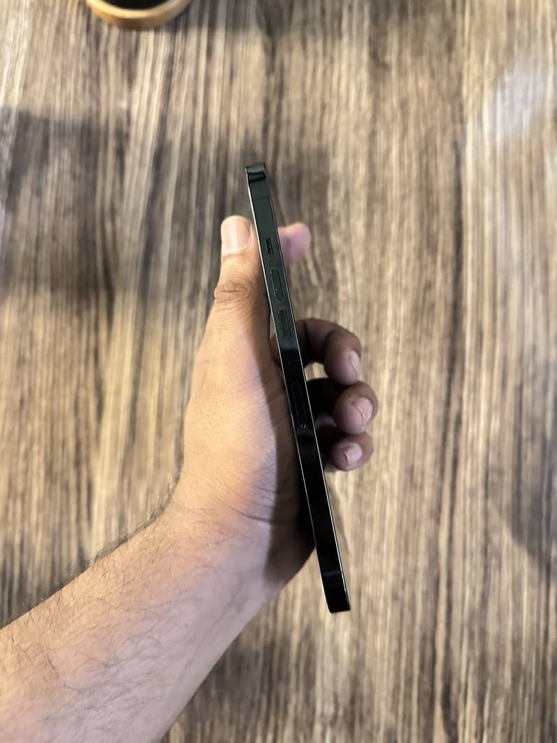 Apple iPhone 12 Pro Max 1