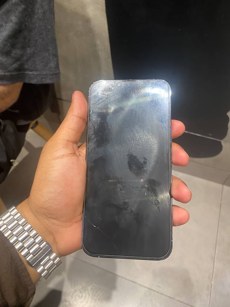 Apple iPhone 13 Pro Max 1
