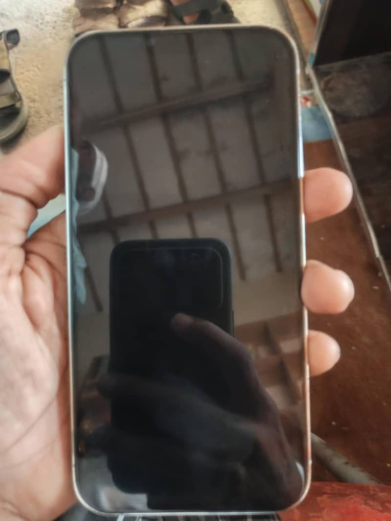 Apple iPhone 13 Pro Max 1
