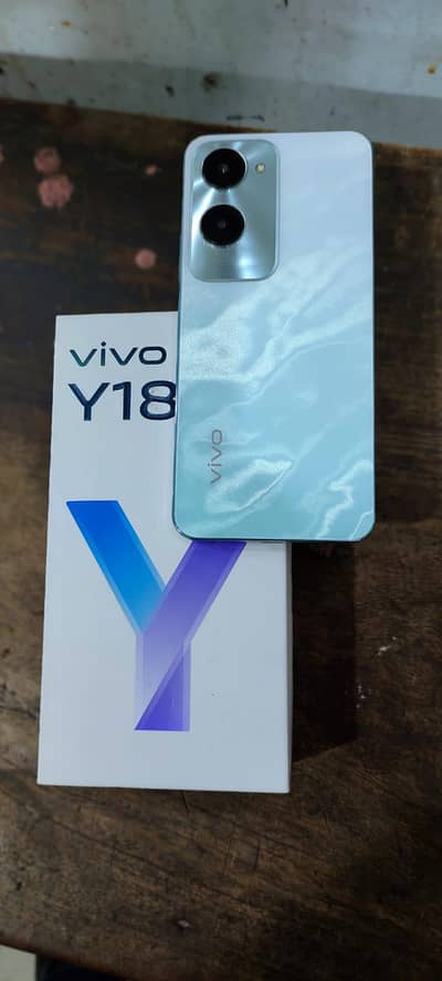 VEVO Y18