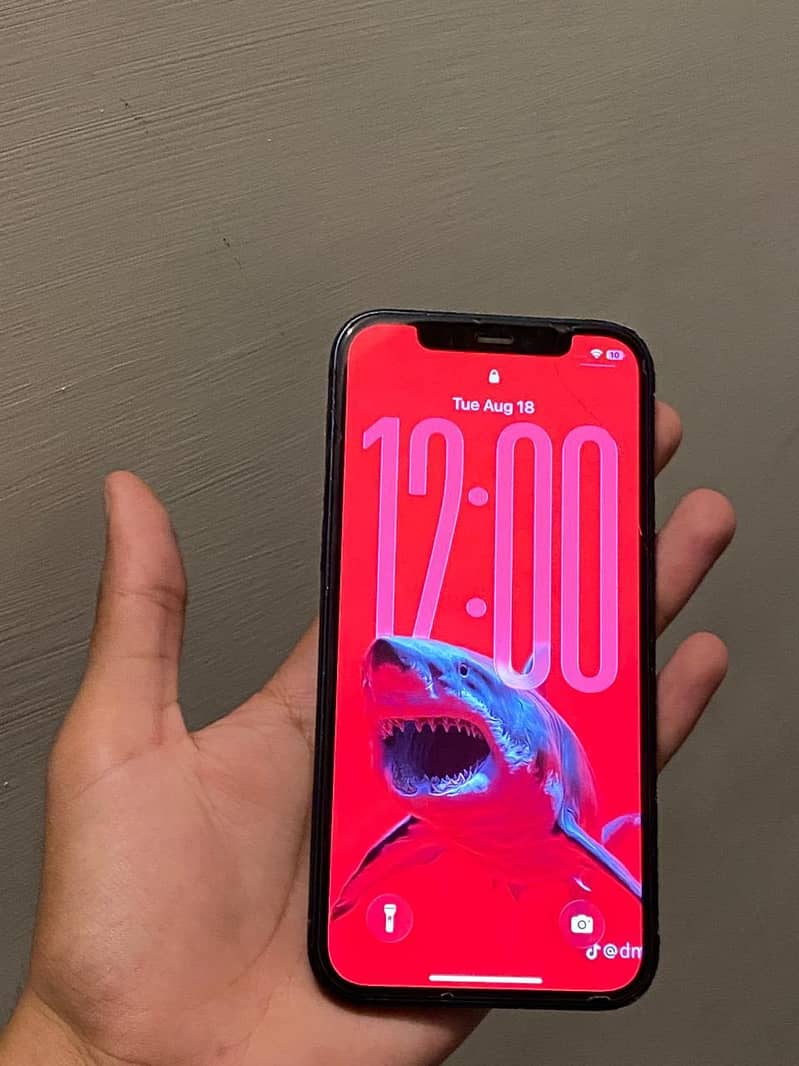 Apple iPhone 12 1