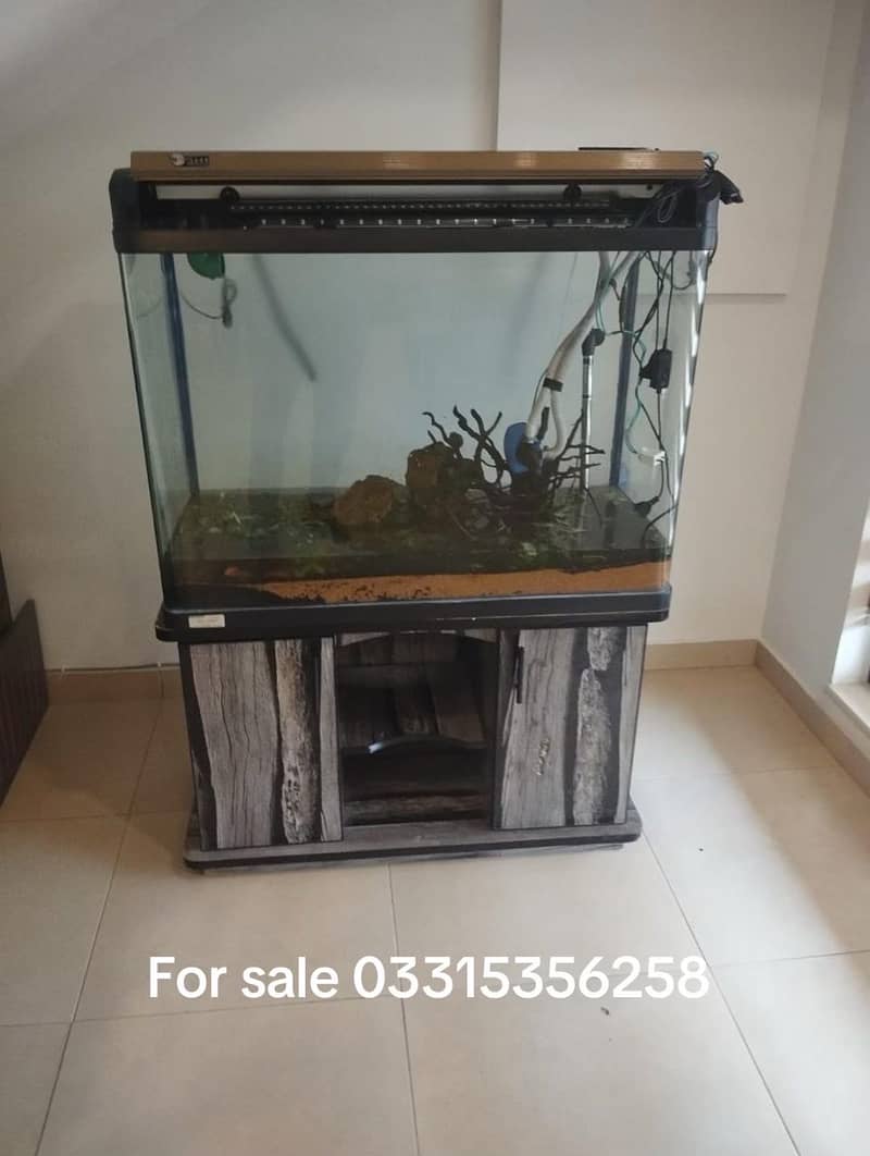 Aqurium 0