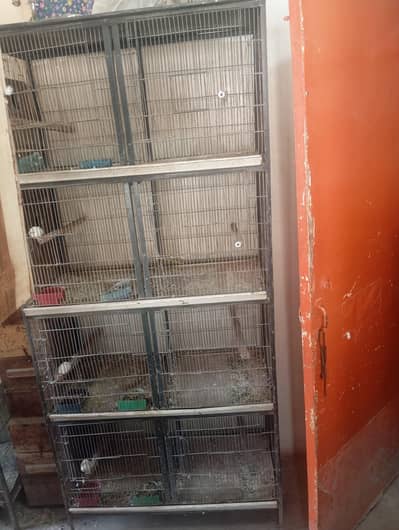 use cage birds ringnck box bhi new use ha sub