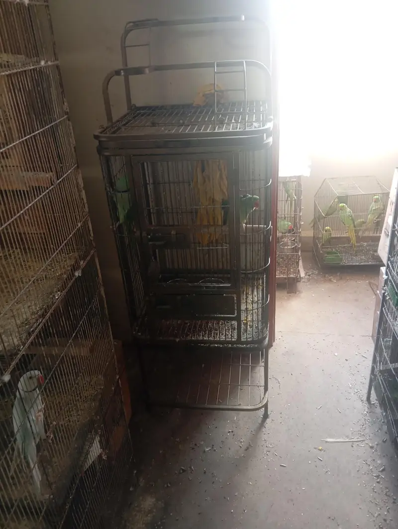 use cage birds ringnck box bhi new use ha sub — photo 6