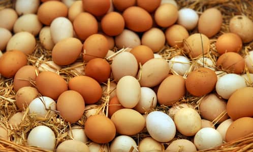 Pure desi eggs for sale | 1 dozen