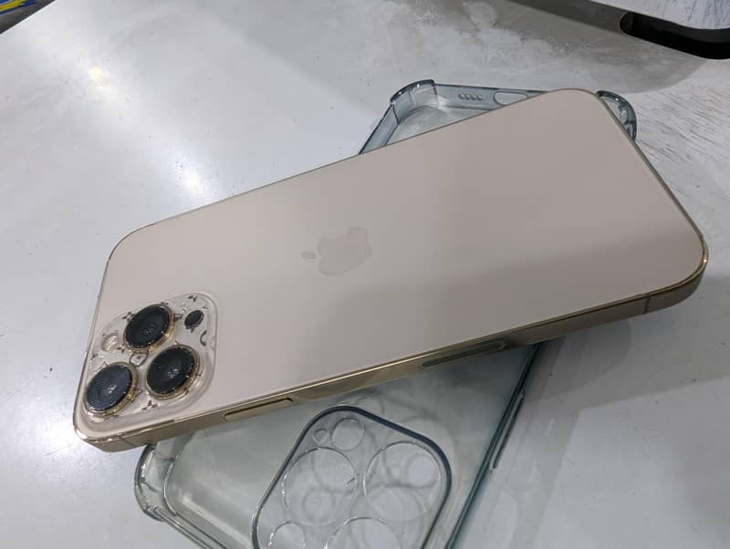 Apple iPhone 13 Pro Max 1