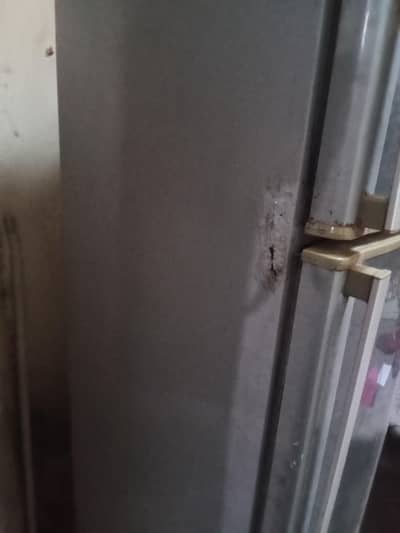 tallest refrigerator sale medium size