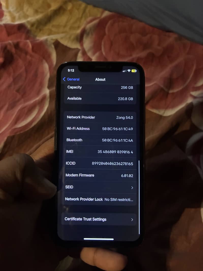 Apple iPhone X 1