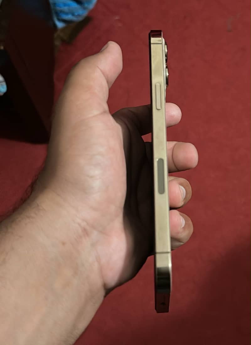 Apple iPhone 12 Pro Max 2