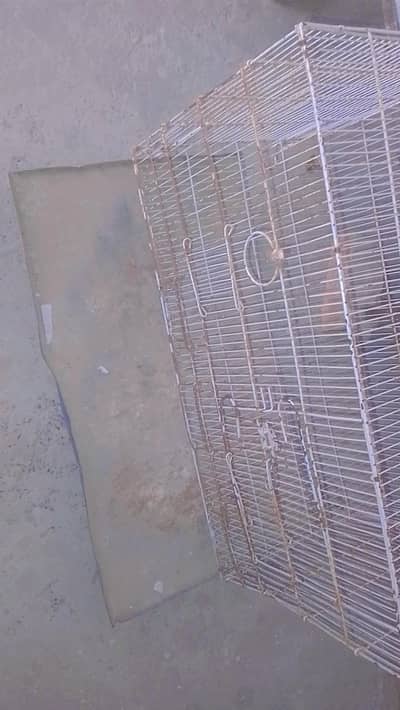 full size hen cage