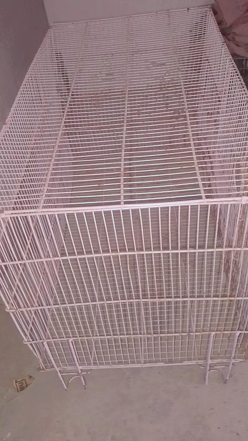 full size hen cage — photo 2