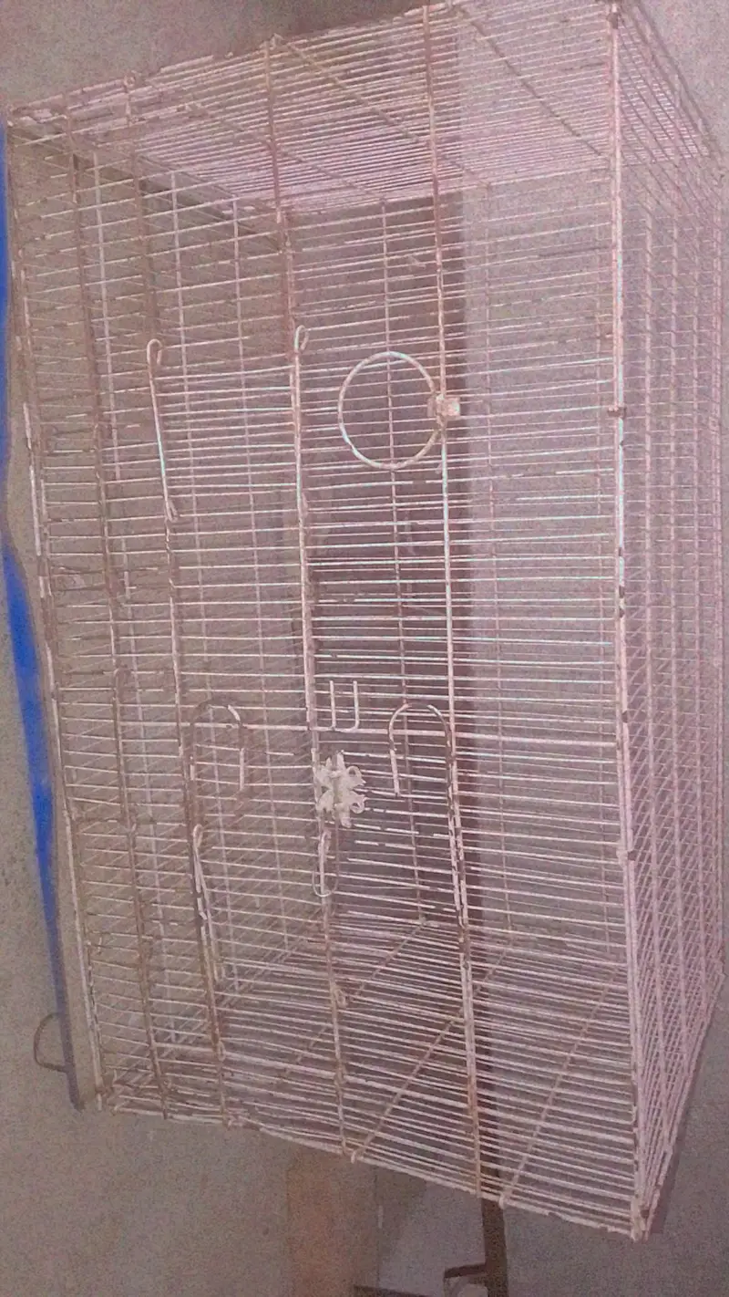 full size hen cage — photo 3