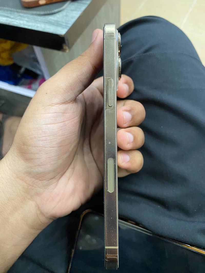 Apple iPhone 13 Pro Max 6